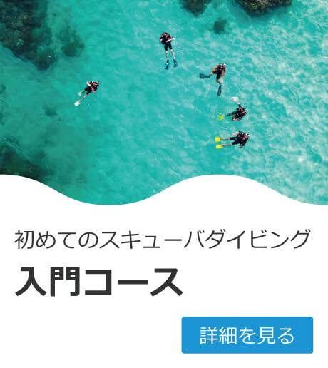 人気コースの写真1