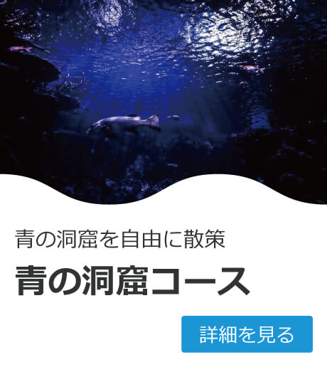 人気コースの写真2