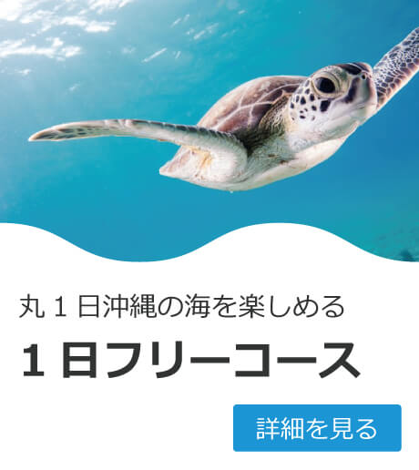 人気コースの写真3